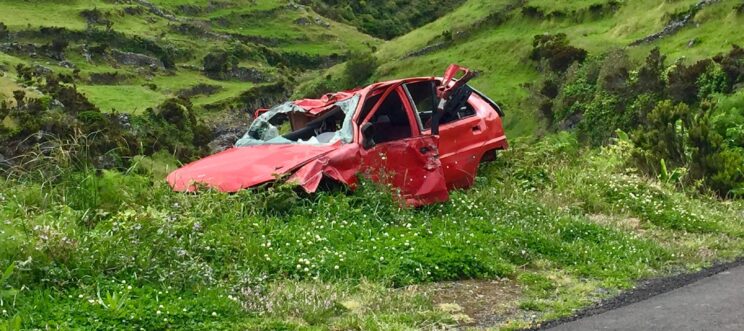 pexels-dominika-kwiatkowska-3368844