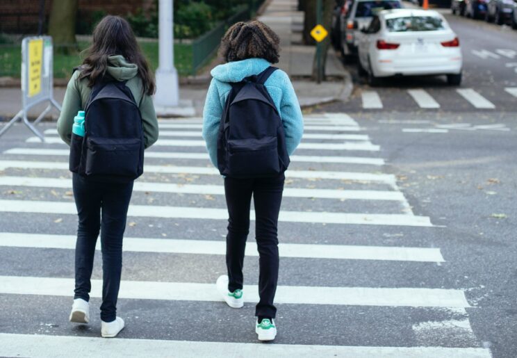 pexels-mary-taylor-5896475