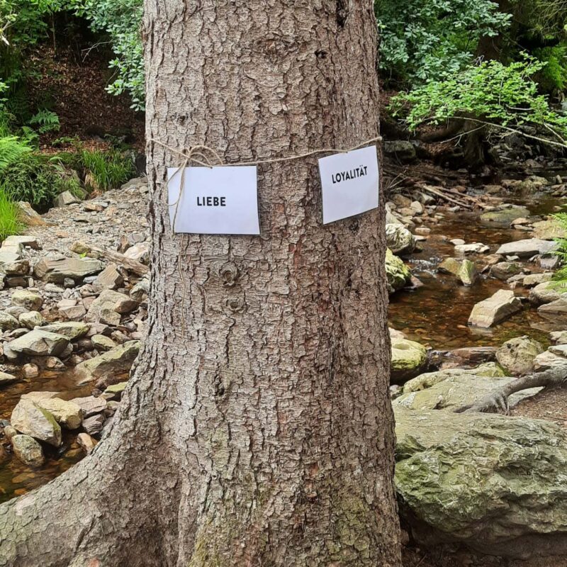 WhatsApp Image 2022-06-29 at 10.56.40 (2)